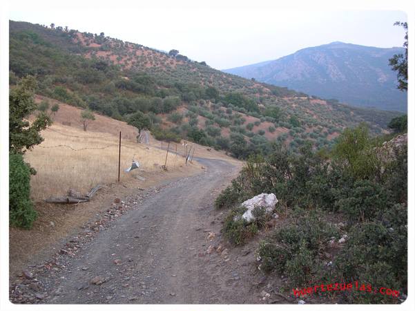 Camino del Peñón